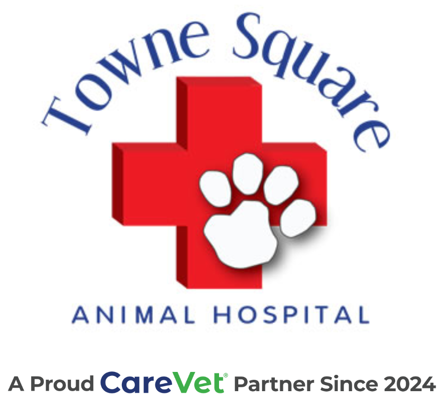 Towne Square Animal Hospital Logo